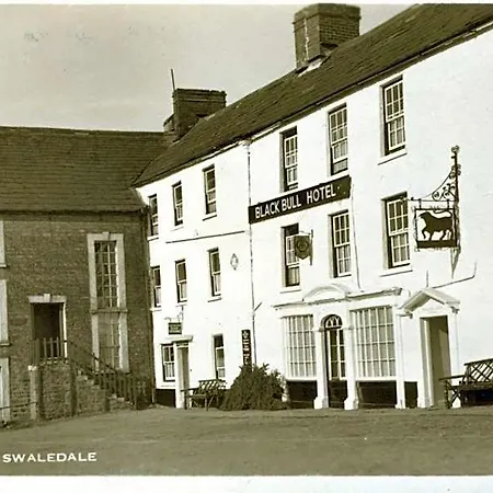 Black Bull